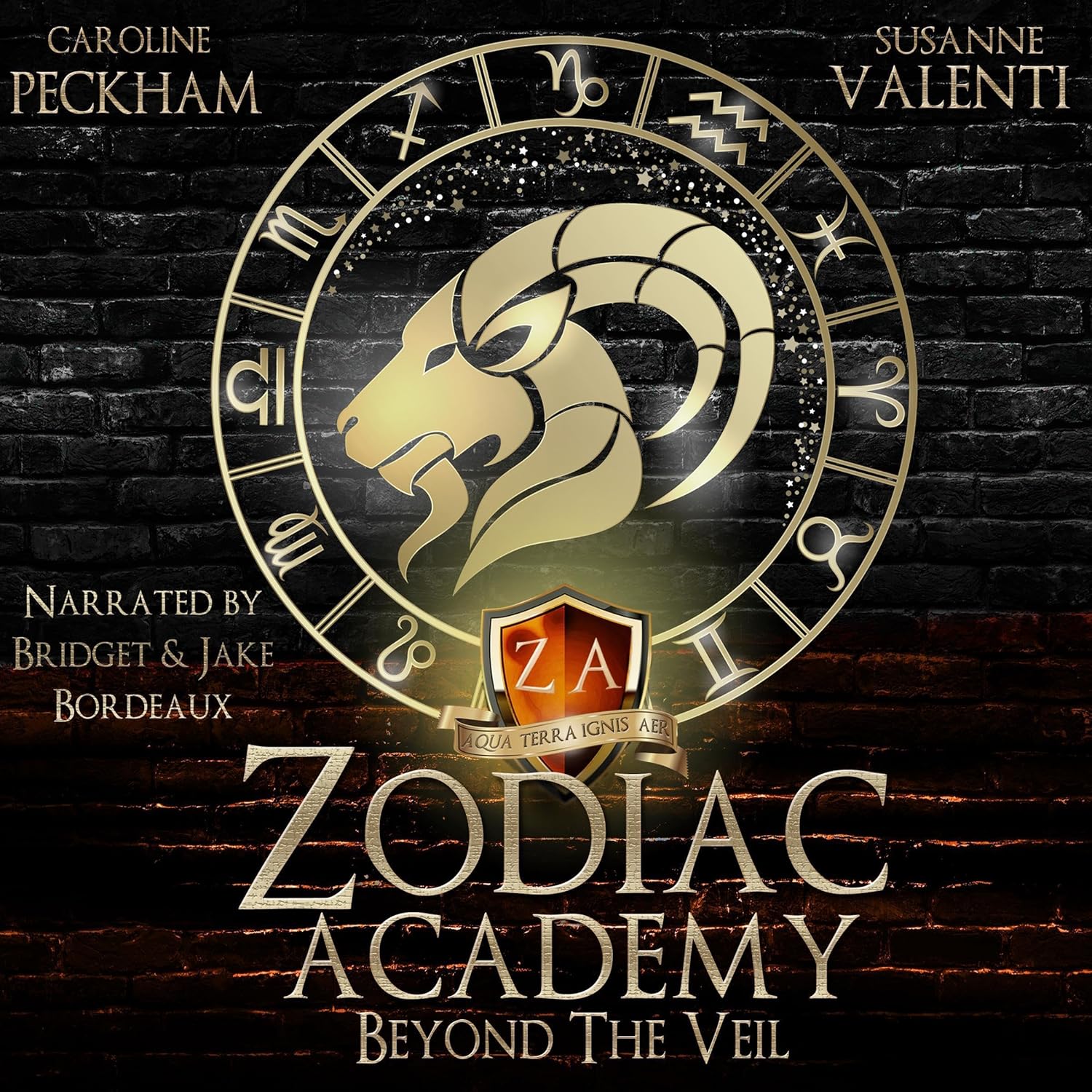 Zodiac Academy 8.5: Beyond the Veil