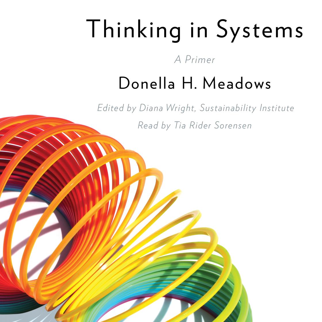 Thinking In Systems: A Primer