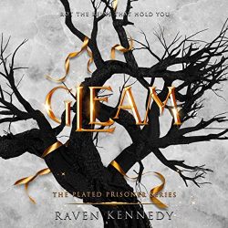 Gleam-Audiobook